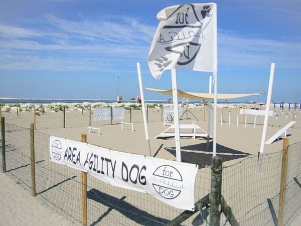 InDiga for Dog - foto 20725.jpg