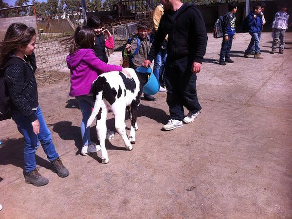 Agriturismo Su Bistentu - foto 20727.jpg