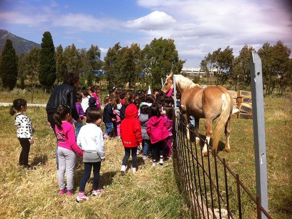 Agriturismo Su Bistentu - foto 20728.jpg