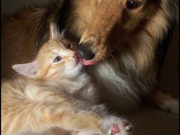 Agriturismo San Bovo - foto 20767.jpg