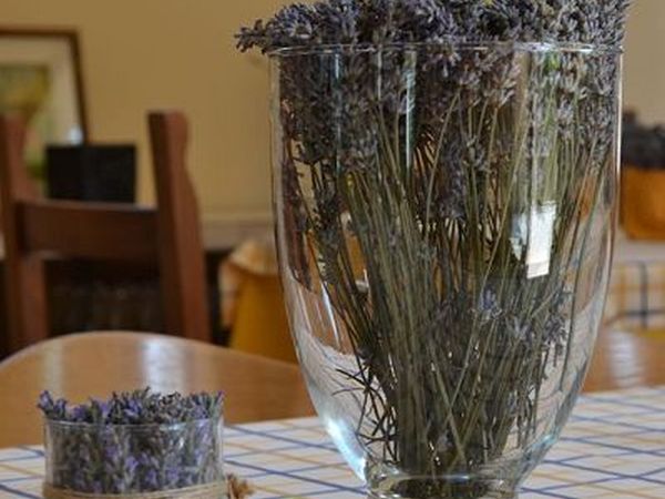 Agriturismo Collina Dei Fagiani  - foto 20819.jpg