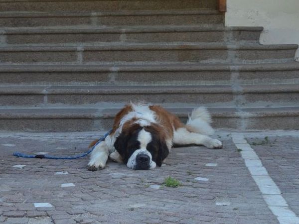 Hotel Cristallo  - foto 20863.jpg