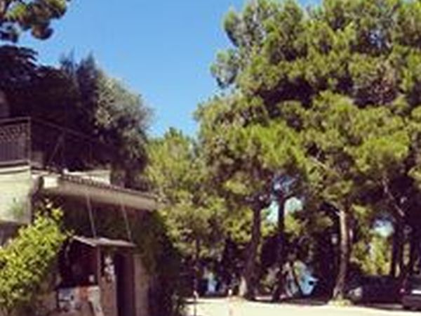 Centro Turistico Belvedere - foto 20884.jpg