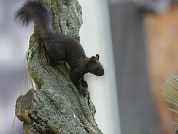 Centro Turistico Belvedere - foto 20886.jpg