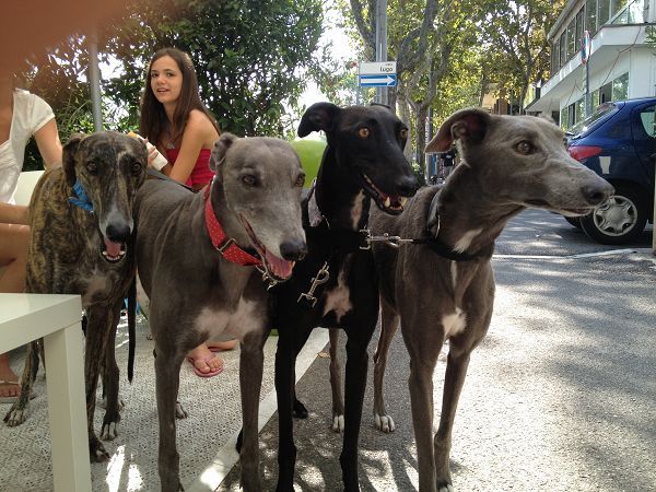 Hotel Principe for Pet Lovers - foto 21016.jpg