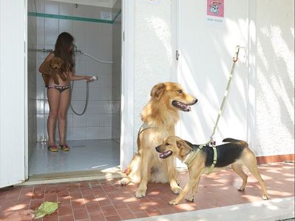 Camping Villaggio Gilda - foto 21047.jpg