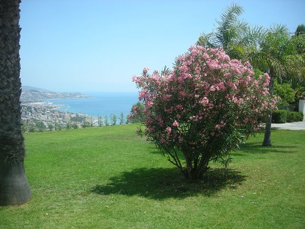 Villa Profumo dei Fiori - foto 21072.jpg