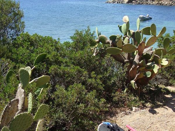 Isola dei Gabbiani - land of water - foto 21086.jpg