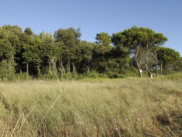 Camping Villaggio Gilda - foto 21111.jpg