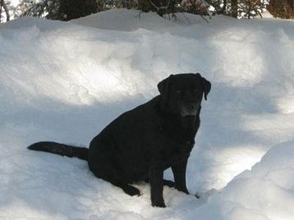 Maso Valfloriana - foto 21271.jpg