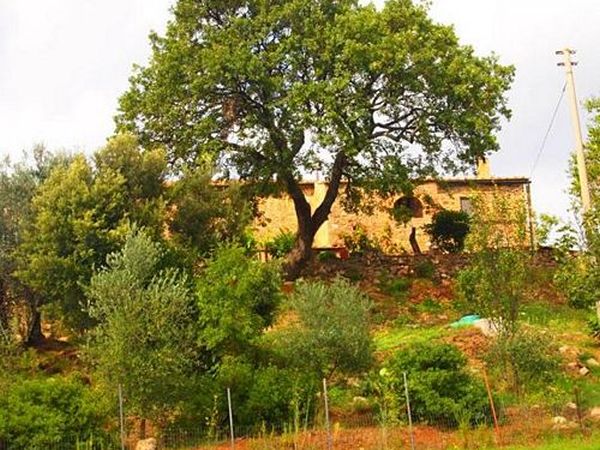 Agriturismo Montileo - foto 21360.jpg