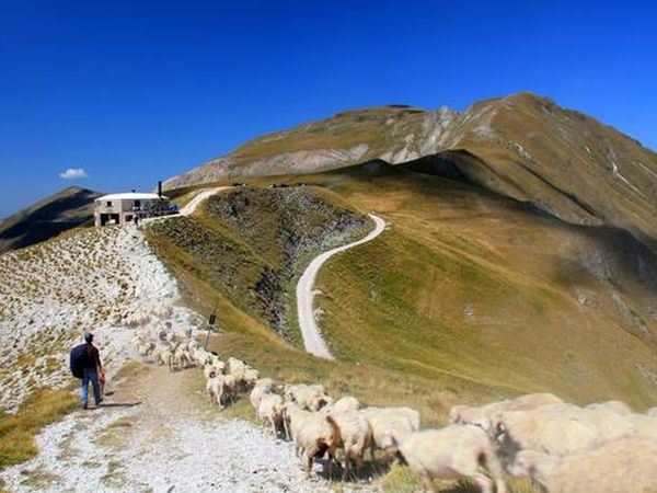 Hotel Felycita - foto 21429.jpg