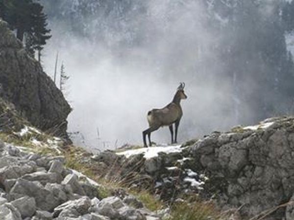 Hotel Felycita - foto 21430.jpg