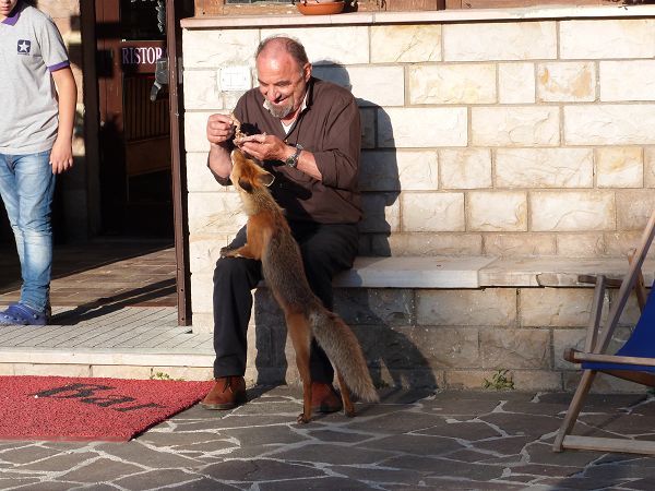 Hotel Felycita - foto 21432.jpg