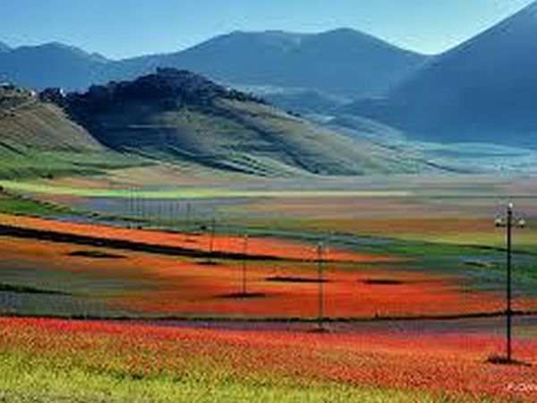 Hotel Felycita - foto 21437.jpg