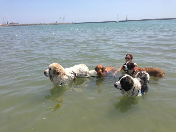 Dog Beach - Lido Azzurro - foto 21474.jpg