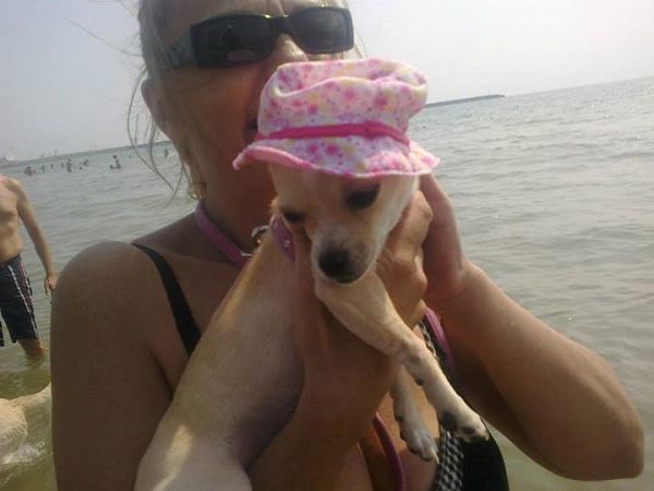 Dog Beach - Lido Azzurro - foto 21481.jpg