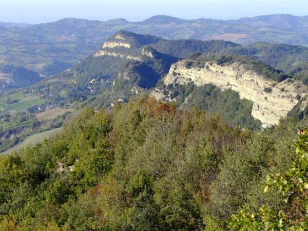 Agriturismo Piccola Raieda - foto 21850.jpg