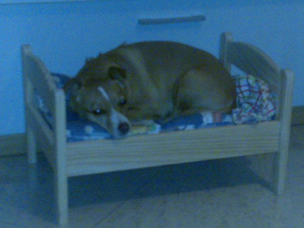 Hotel Donatello - foto 5791.jpg