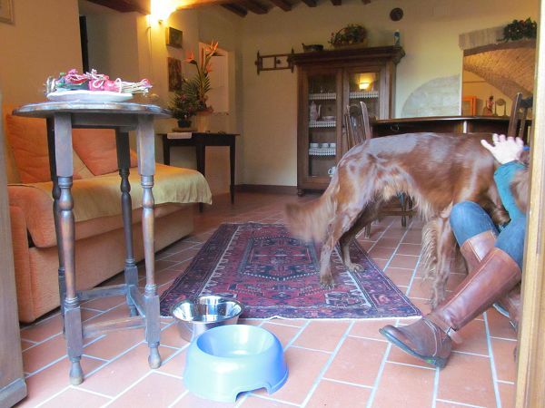 Bonclerici House - foto 22080.jpg