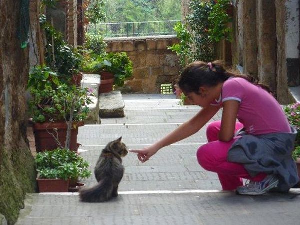 Casa Marta - foto 22131.jpg