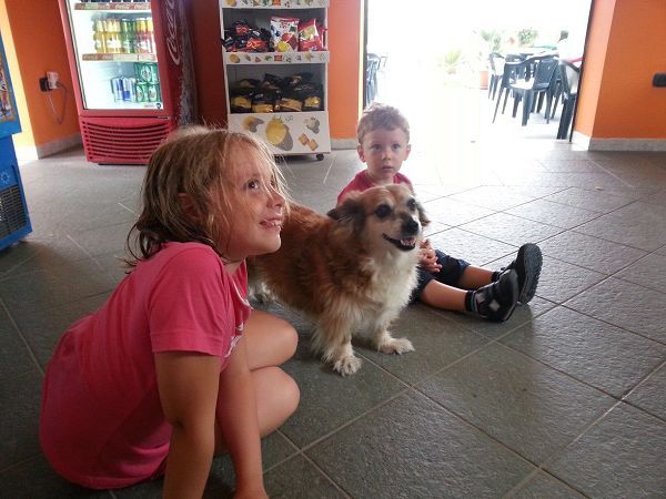 Hotel La Praia - foto 22189.jpg