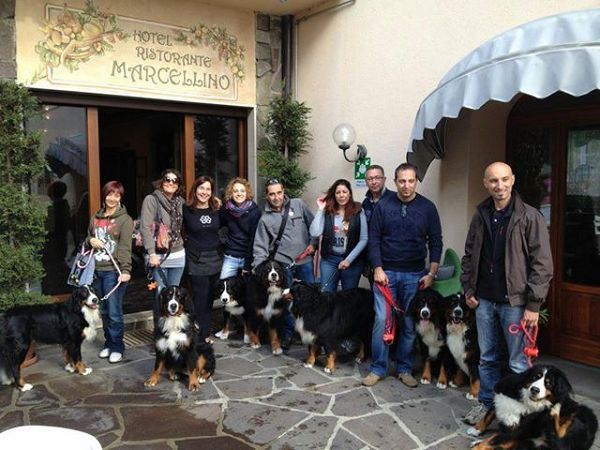 Hotel Marcellino - foto 22205.jpg