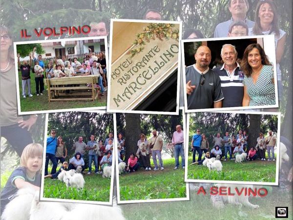 Hotel Marcellino - foto 22219.jpg