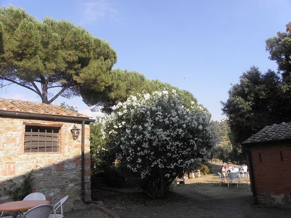 Agriturismo Tenuta di Vignale - foto 22353.jpg