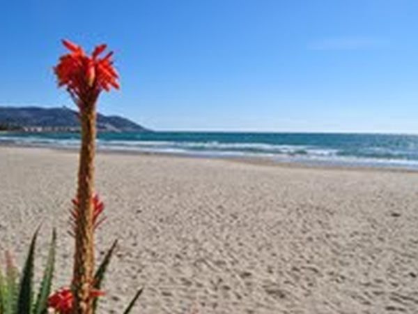 Hotel Tina - foto 22369.jpg