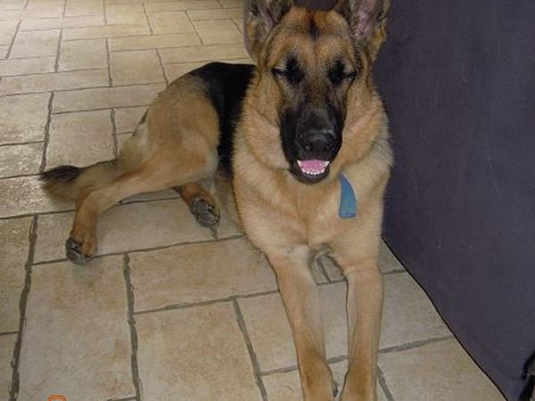 B&B Ciliegio Felice - foto 22398.jpg