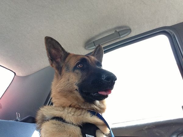 B&B Ciliegio Felice - foto 22450.jpg