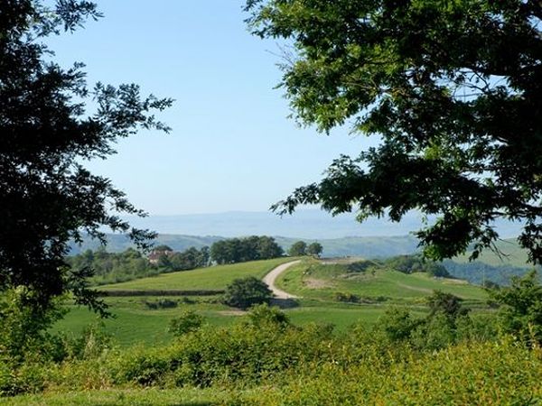 Podere Pietreta - foto 22566.jpg