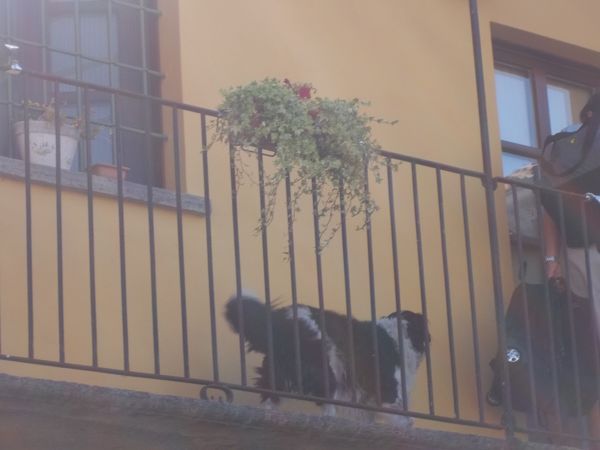 B&B Il Giarolo - foto 22572.jpg