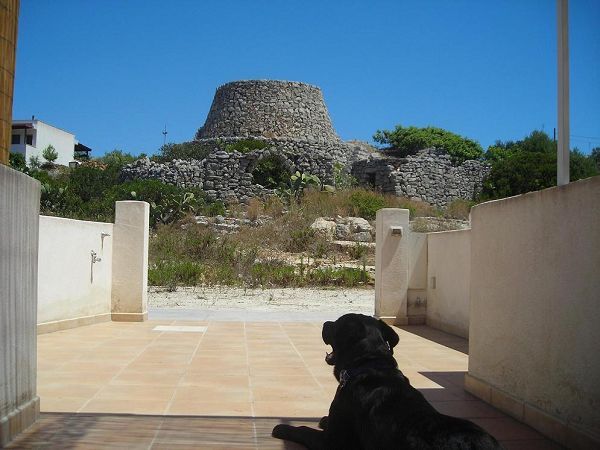 Torre Vado Vacanze - foto 5980.jpg