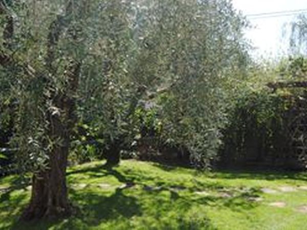 Casa Simonetti - foto 22709.jpg