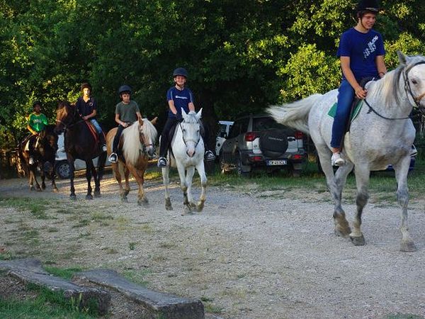 Azienda Agricola Podere Tremulini - foto 22774.jpg