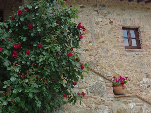 Azienda Agricola Podere Tremulini - foto 22775.jpg