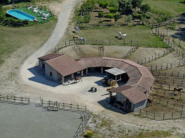 Azienda Agricola Podere Tremulini - foto 22778.jpg