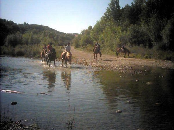 Azienda Agricola Podere Tremulini - foto 22787.jpg