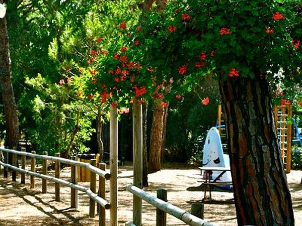 Cieloverde Camping Village - foto 22794.jpg