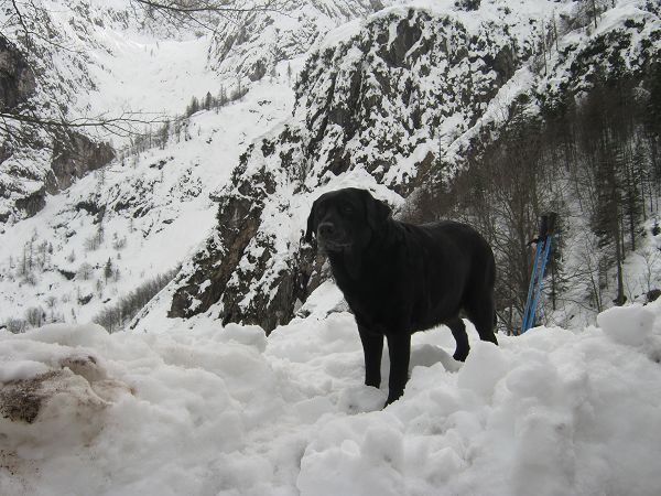 Maso Valfloriana - foto 22878.jpg