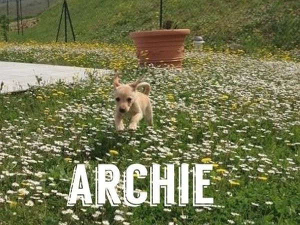 Agriturismo Calagrana - foto 22943.jpg