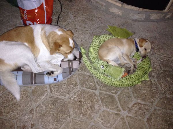 Agriturismo Calagrana - foto 22949.jpg