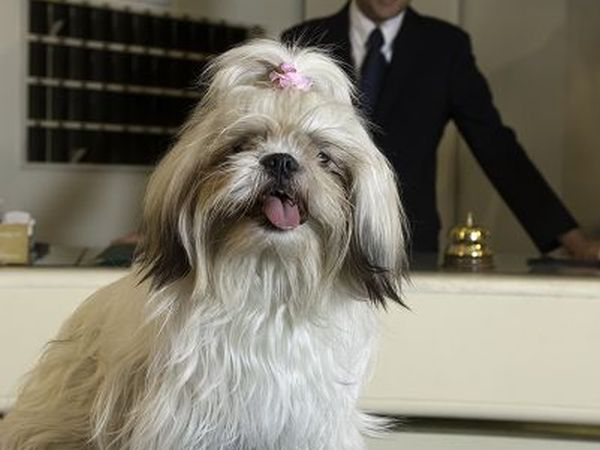 Hotel Panama Garden - foto 6088.jpg