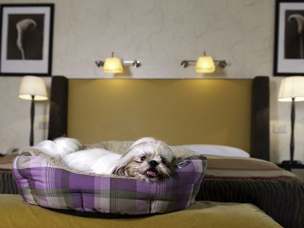 Hotel Panama Garden - foto 6041.jpg