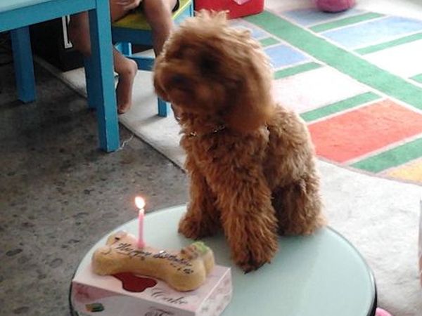 Hotel Michelangelo - foto 23248.jpg