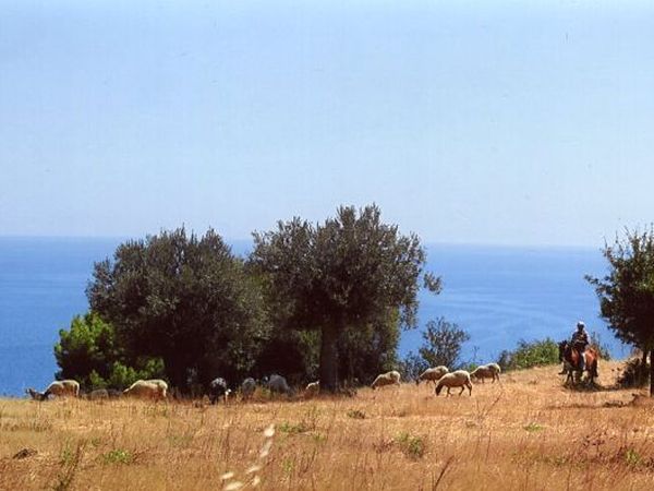 Agriturismo Grassetti - foto 23302.jpg