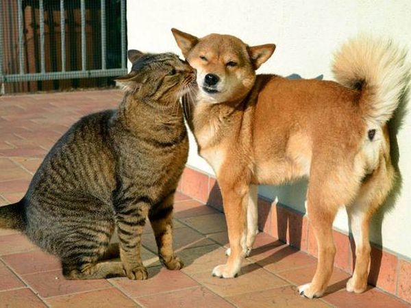 Hotel Beverly - foto 23407.jpg