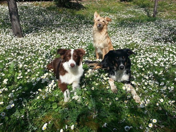 La Rocca di Mantignana - foto 23540.jpg